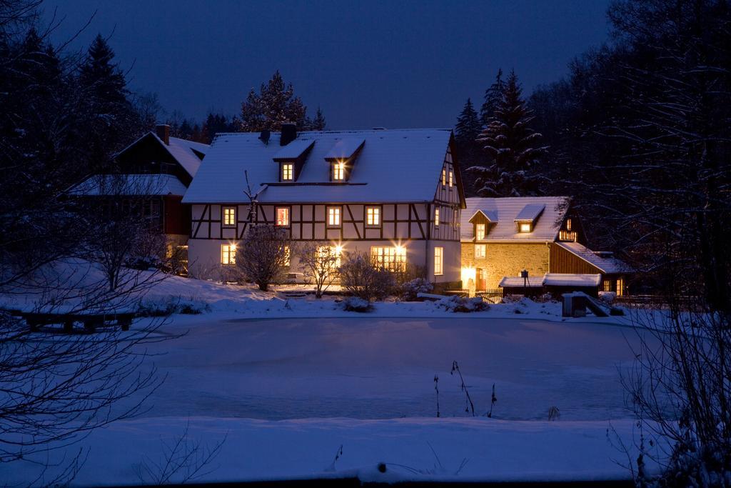 Romantik Hotel Landhaus Baerenmuehle Frankenau Eksteriør bilde