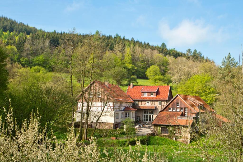 Romantik Hotel Landhaus Baerenmuehle Frankenau Eksteriør bilde